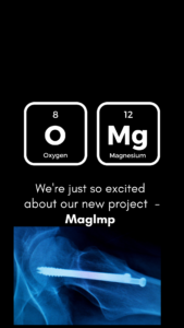 Magnesium Medical Implants for Orthopedic Application: MagImp